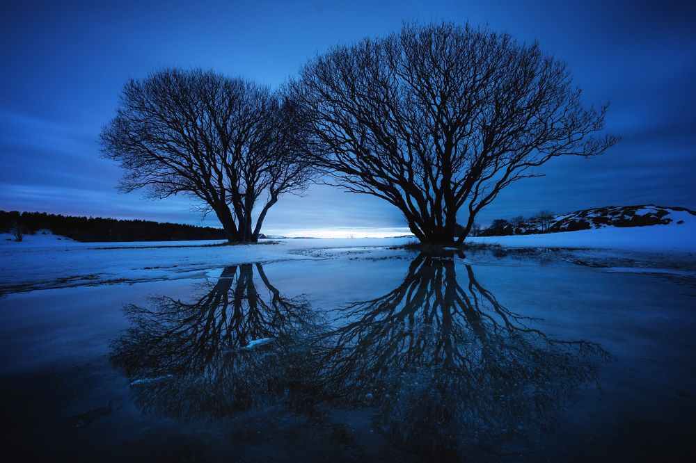 Photograph by Adrian Szatewicz