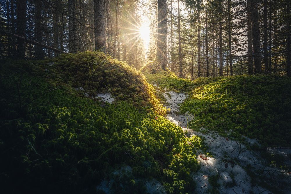 Photograph by Adrian Szatewicz