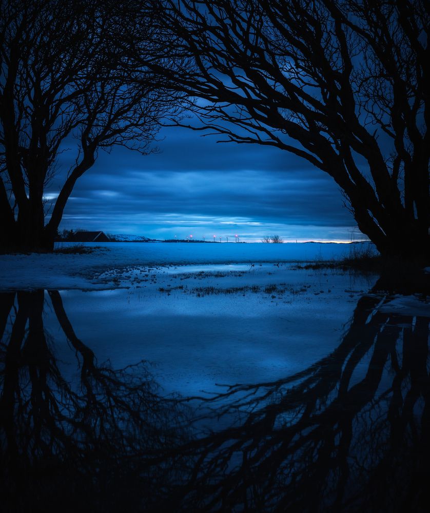 Photograph by Adrian Szatewicz