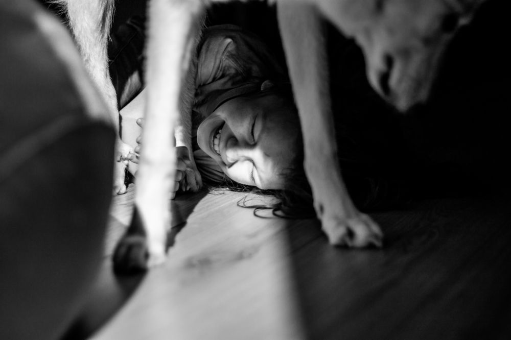 Photo #6006878