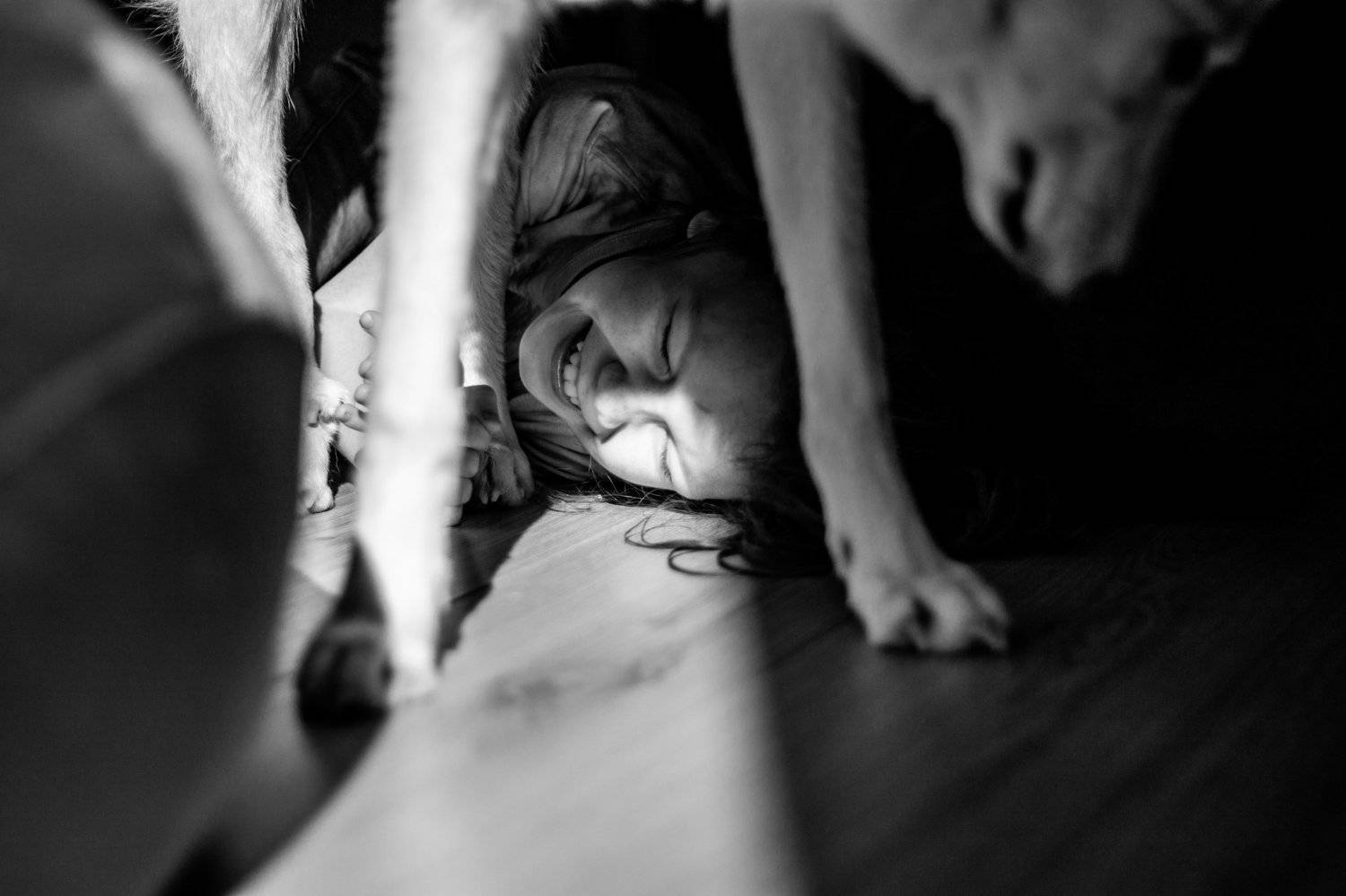 Photo #6006878