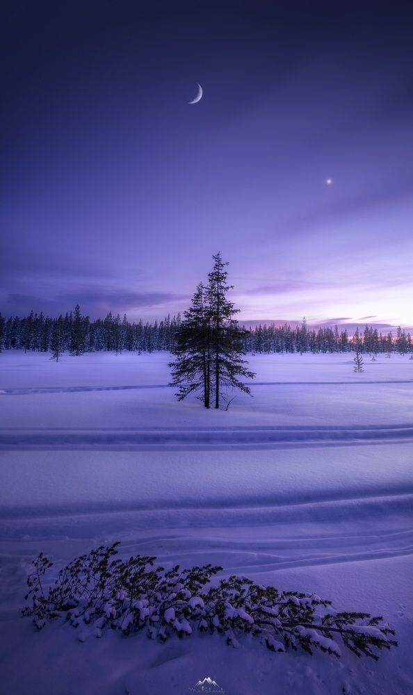 Photograph by Mohamed Sharaf Mo