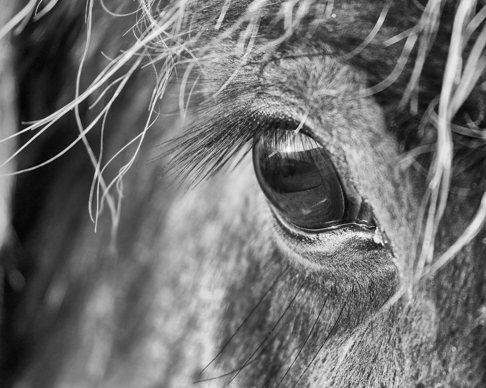 Photograph by Bragi Kort