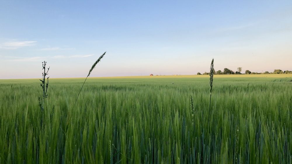 Photograph by Дмитрий