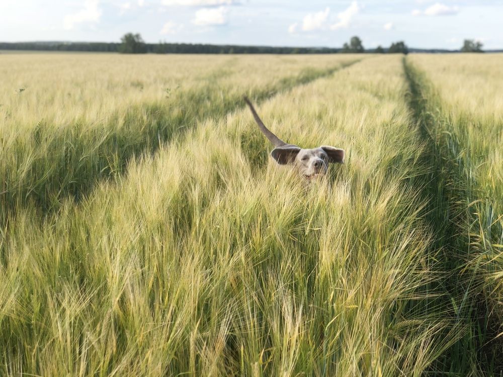 Photograph by Дмитрий