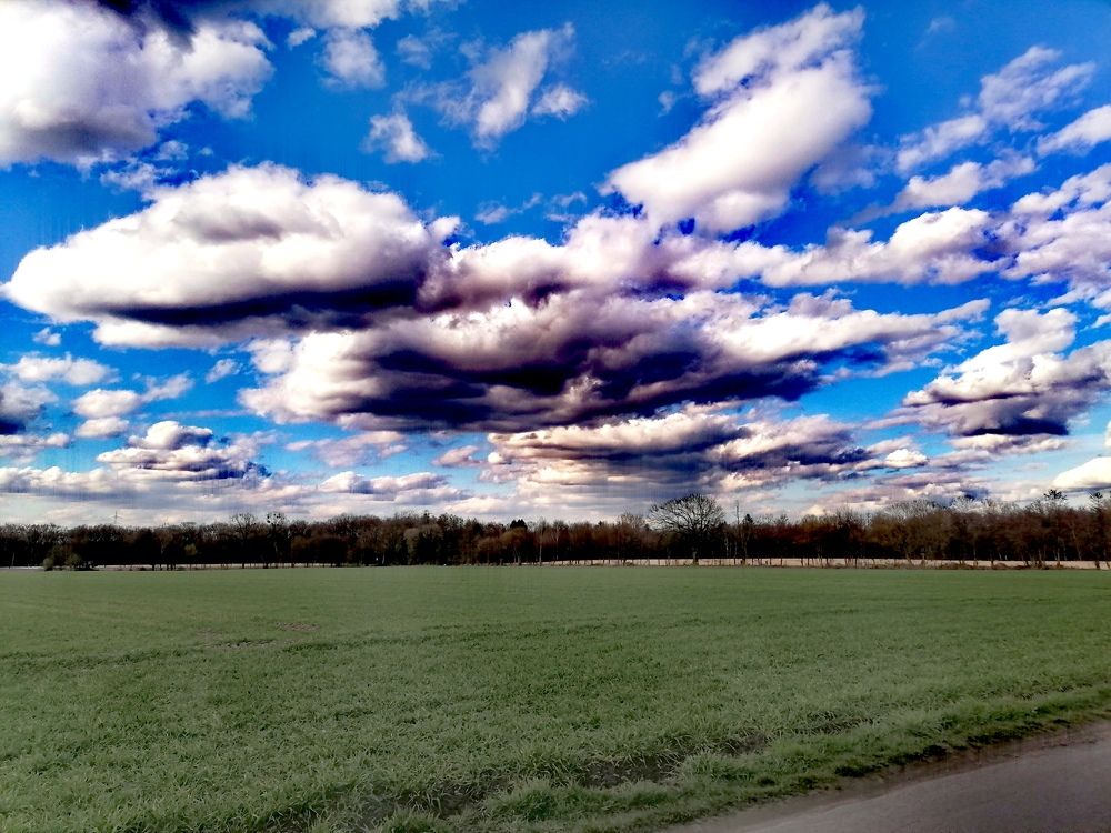 Photo #6007041