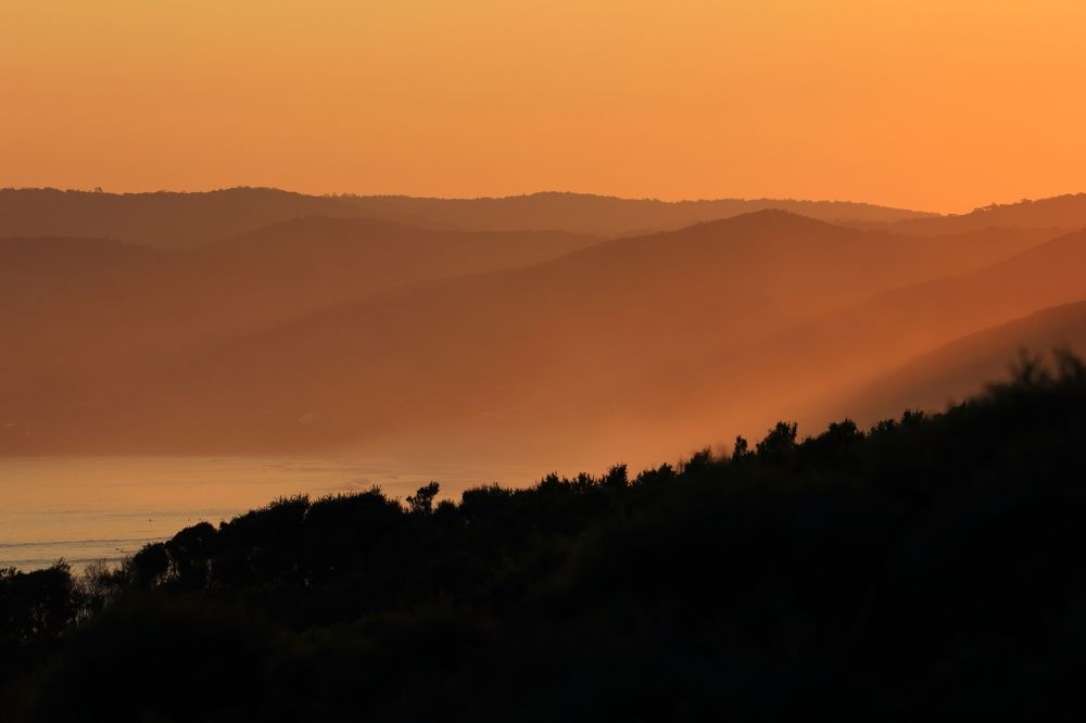Photograph by Shrinivas Kulkarni