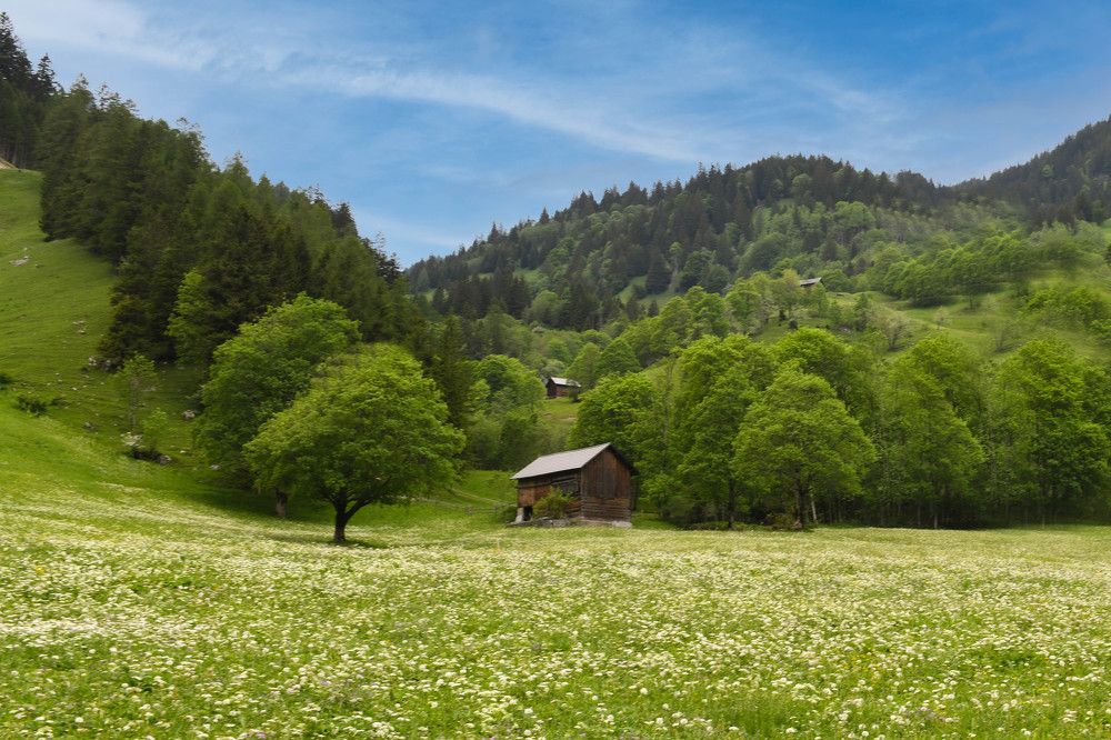 Photograph by Schewzow Lana