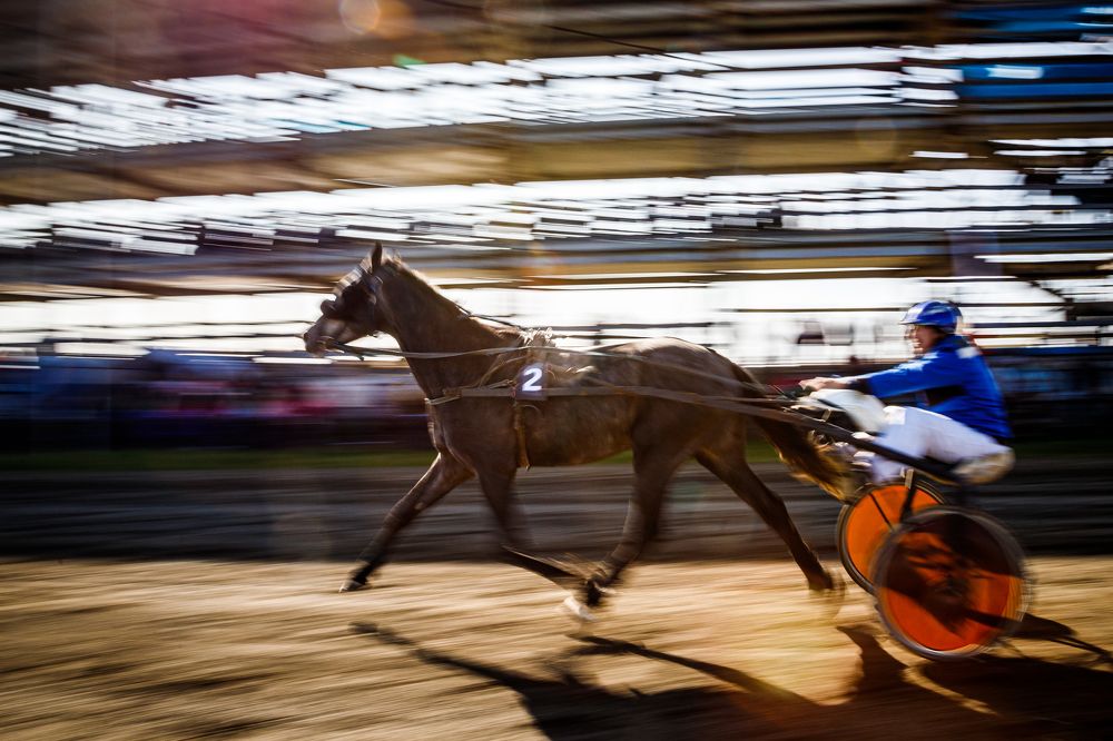 Photograph by Александр Мамаев