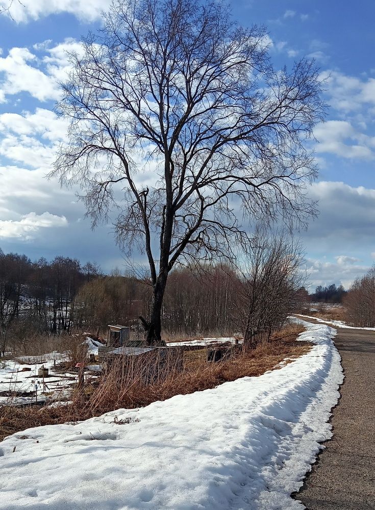 Photograph by Валентина Смирнова