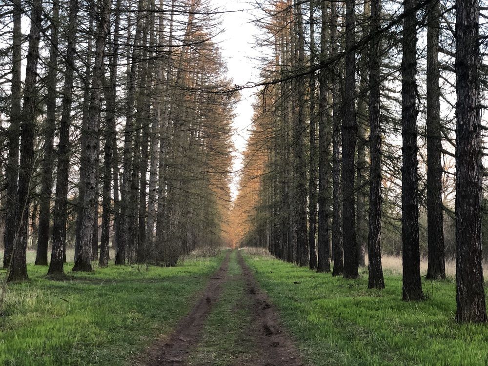 Photograph by Дмитрий