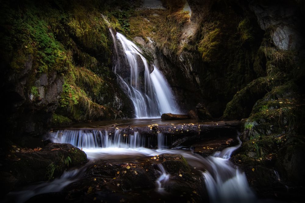 Фотография автора Александр Рудный