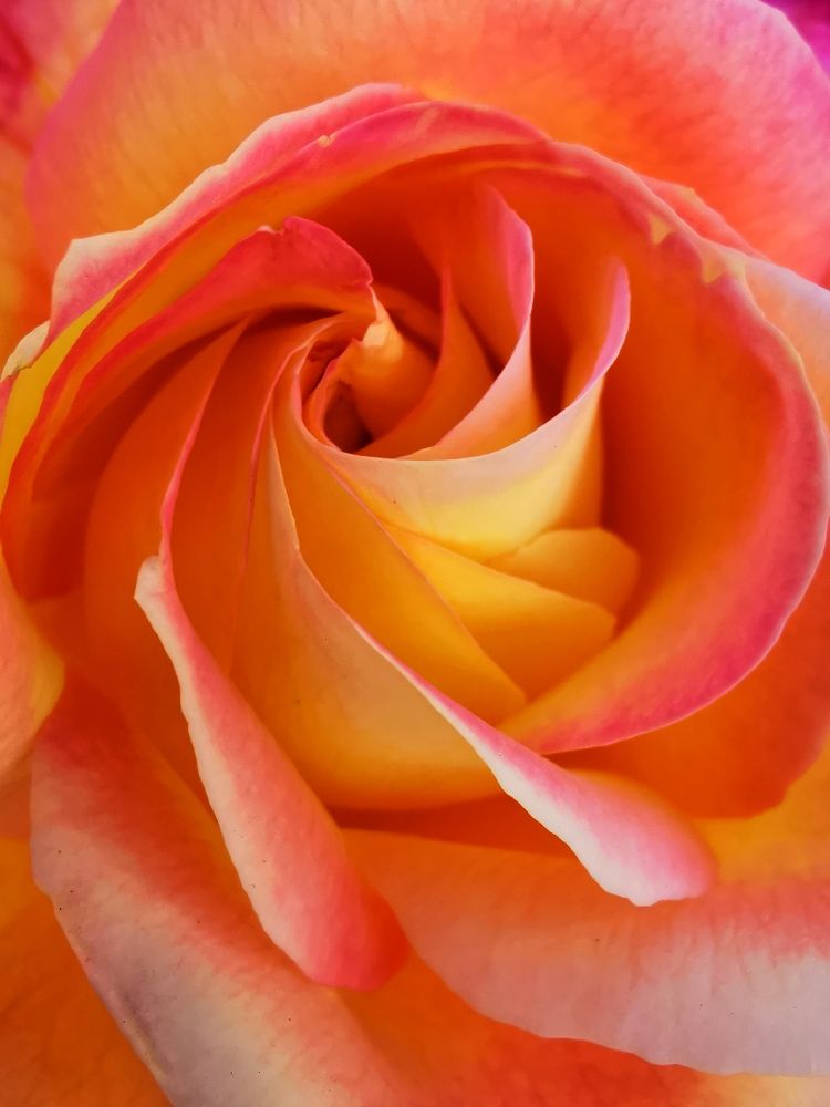 Photograph by Елена Артёменко