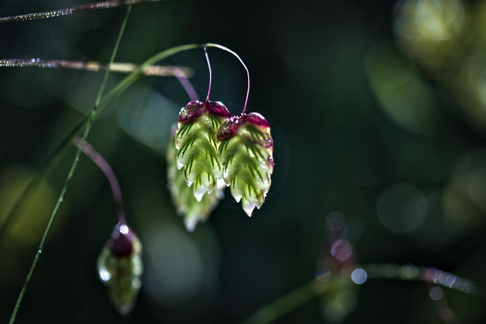 Photograph by Yaniv Abramovitz