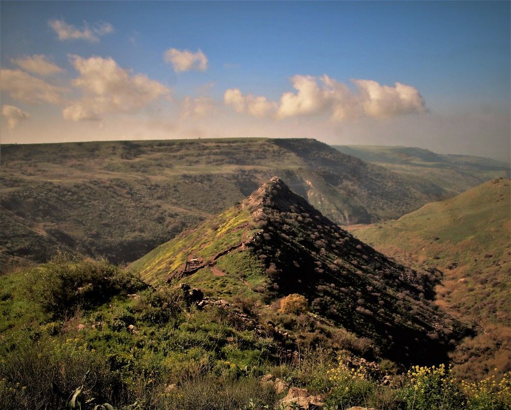 Photograph by Людмила Бутова