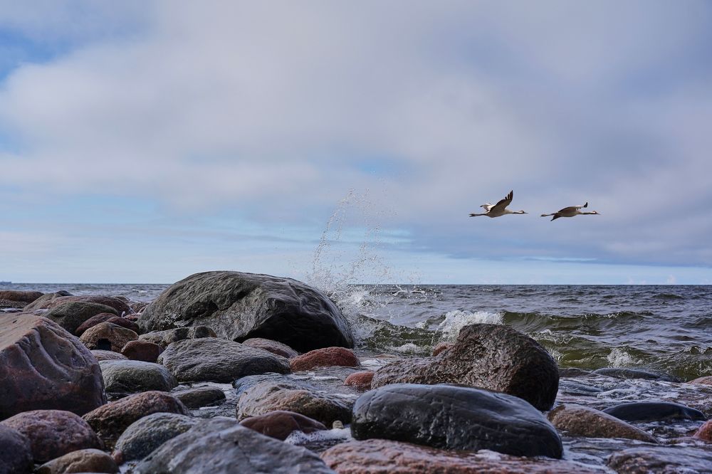 НА БРЕЮЩЕМ ПОЛЁТЕ