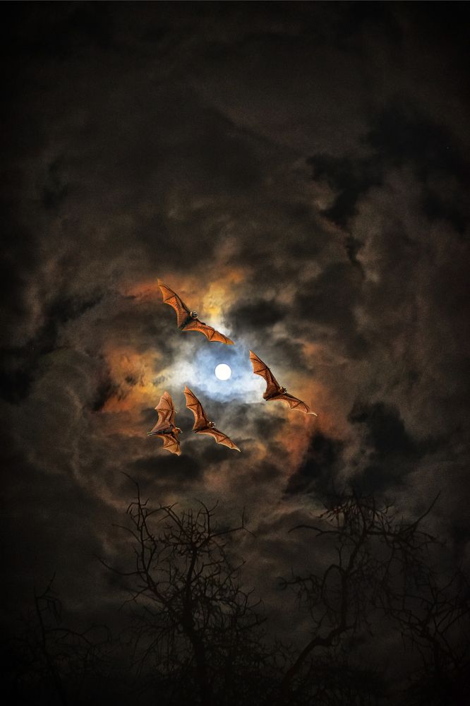 Photograph by Cергей Землянский