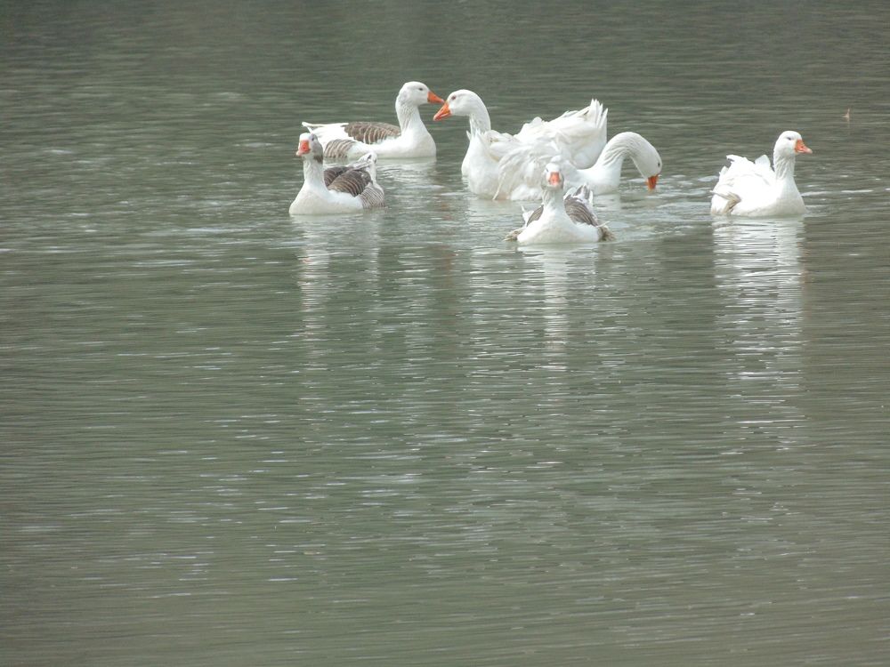 Photograph by Carlos Alberto Martínez González