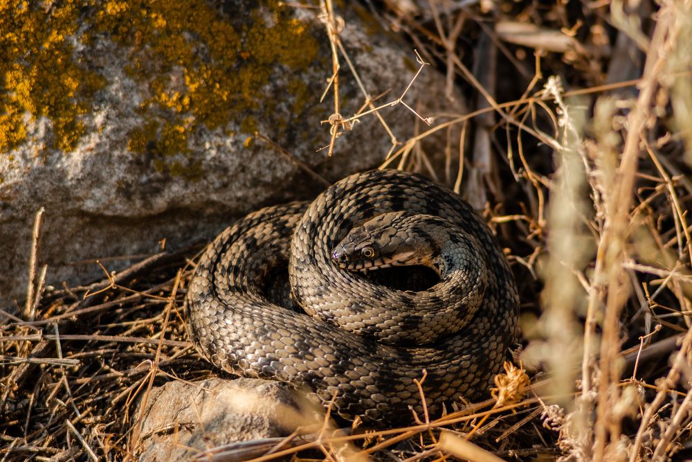 Photograph by Владислав Грибов