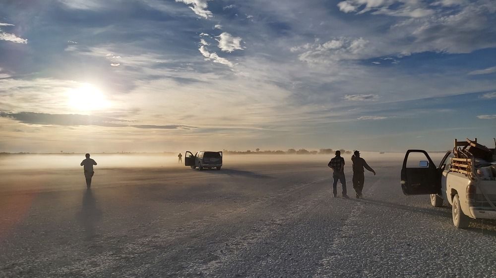Photo #6008101