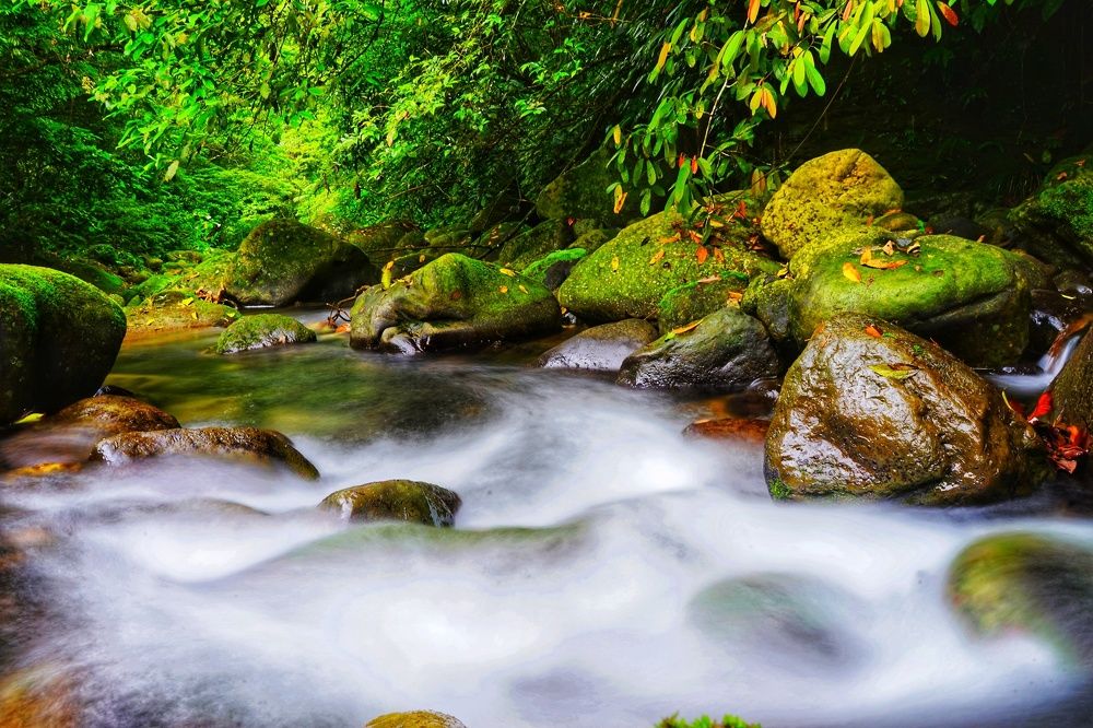 Photograph by Yiru Tsai