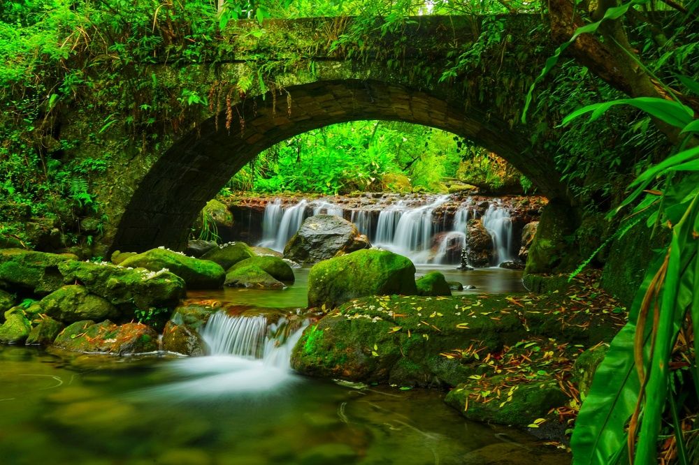 Photograph by Yiru Tsai