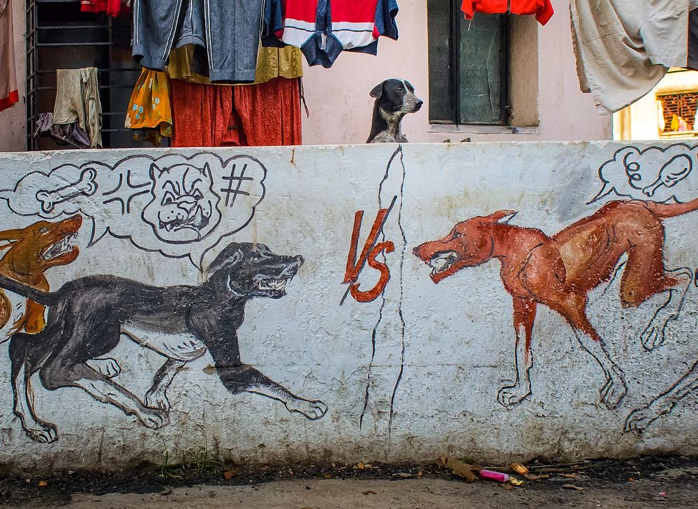 Photograph by Payel Banerjee