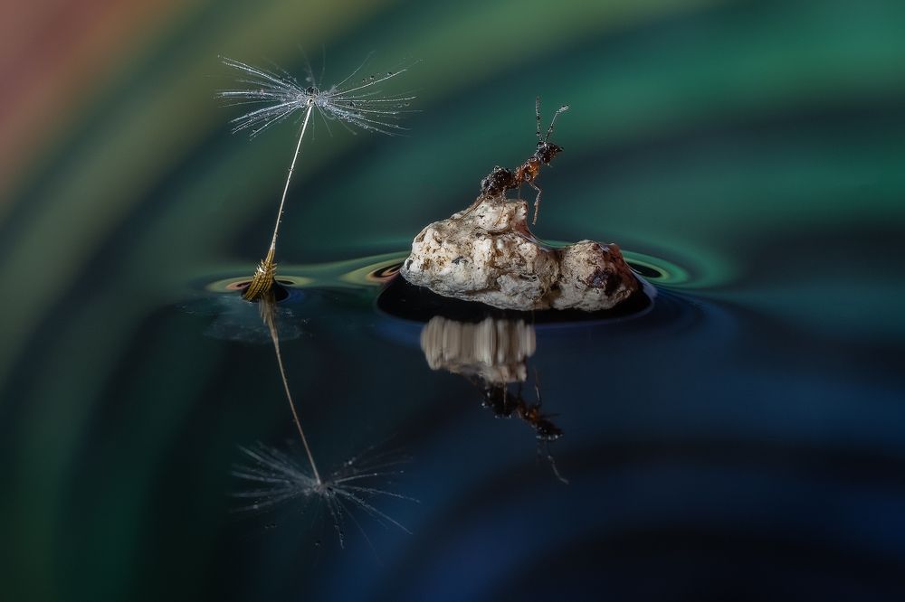 Photograph by Dino Sirica