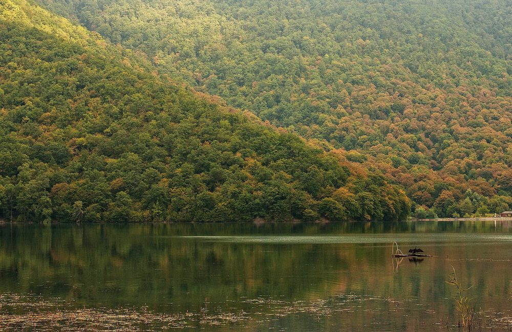 Photograph by Диляра Шарифзаде