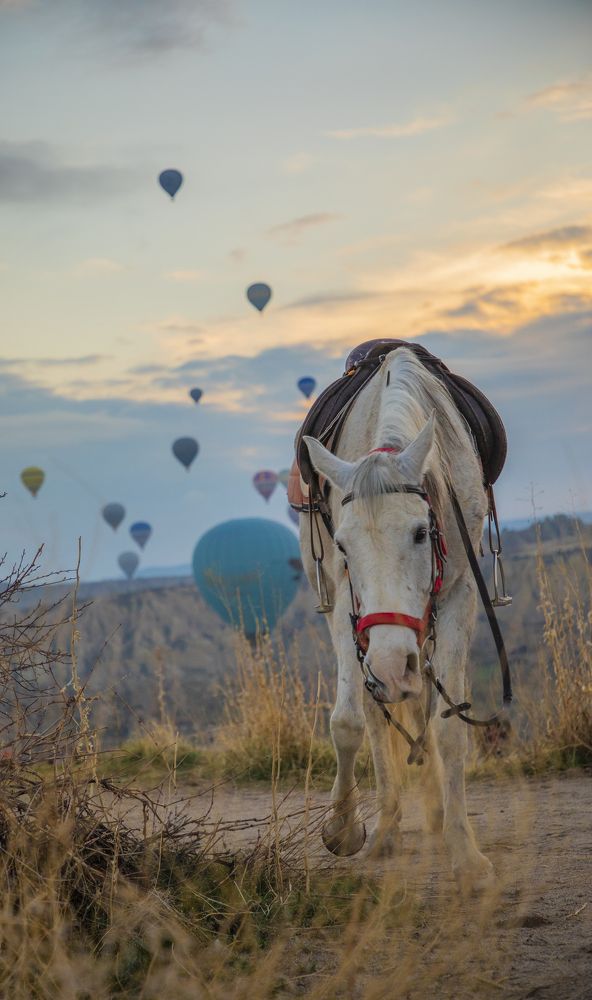 Photograph by Евгений Горячкин