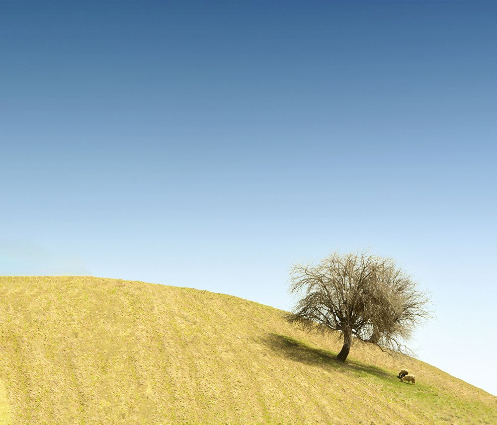 Photograph by Maryam Jafari