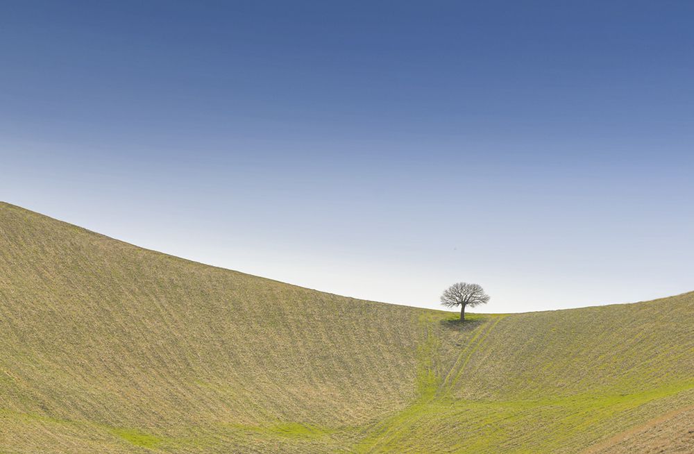 Photograph by Maryam Jafari