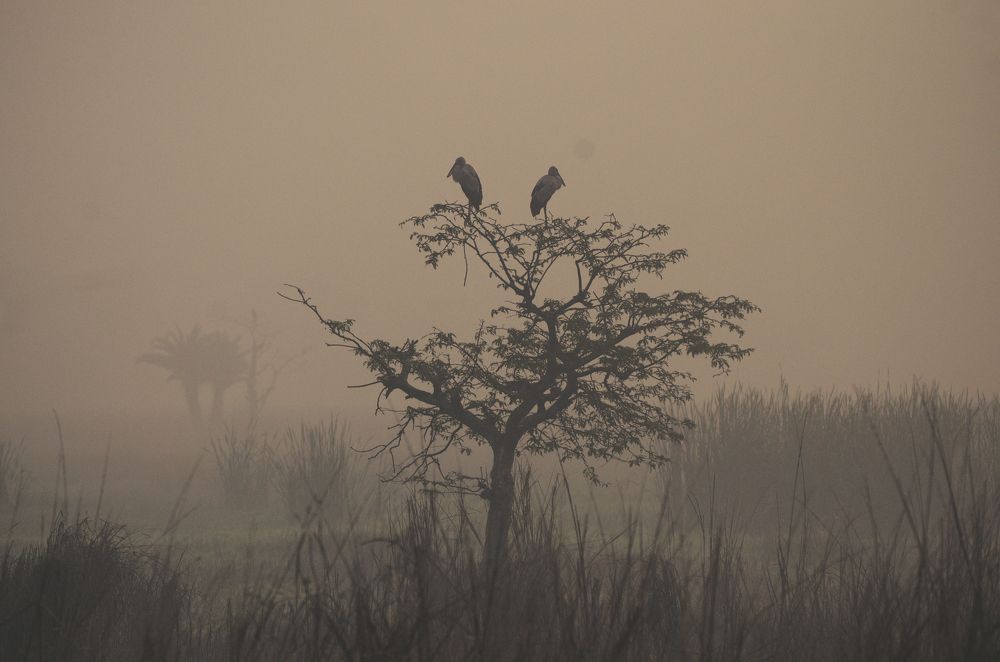 Photograph by Dishari De