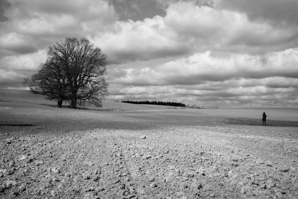 Photograph by jean-pierre damen