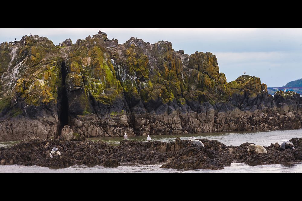 Photograph by Руслан Бикбаев