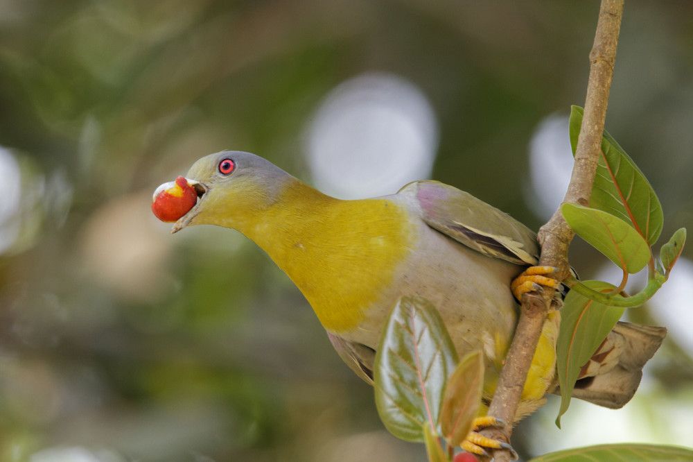 Photograph by Mahmudul Hasan