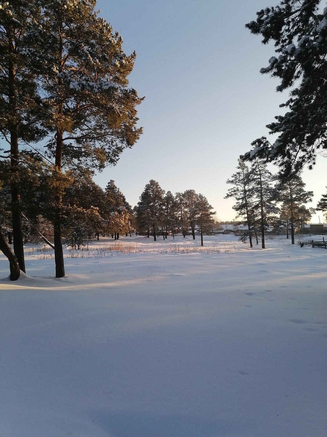 Photo #6009058