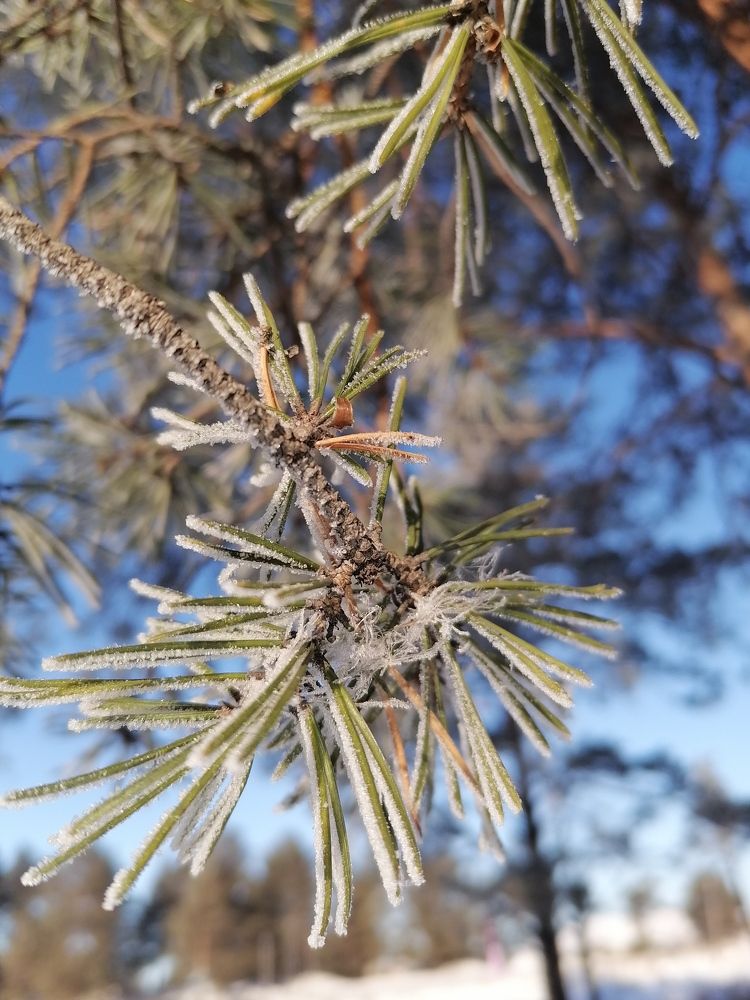 Photo #6009059