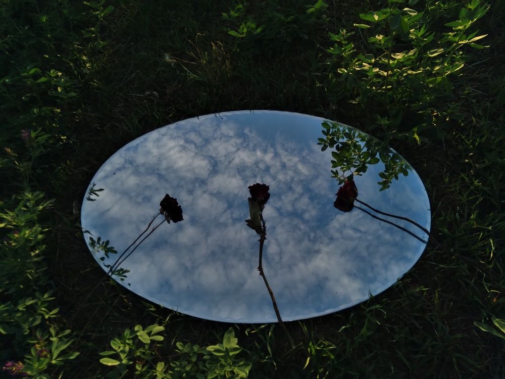 Photo #6009095