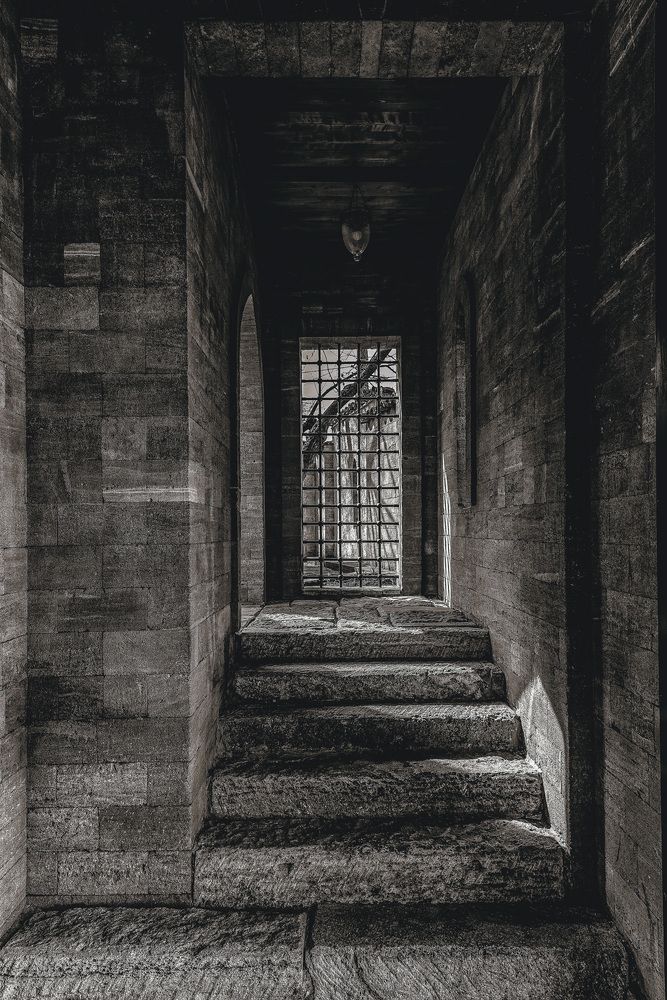 Photograph by Владимир Гамаюнов