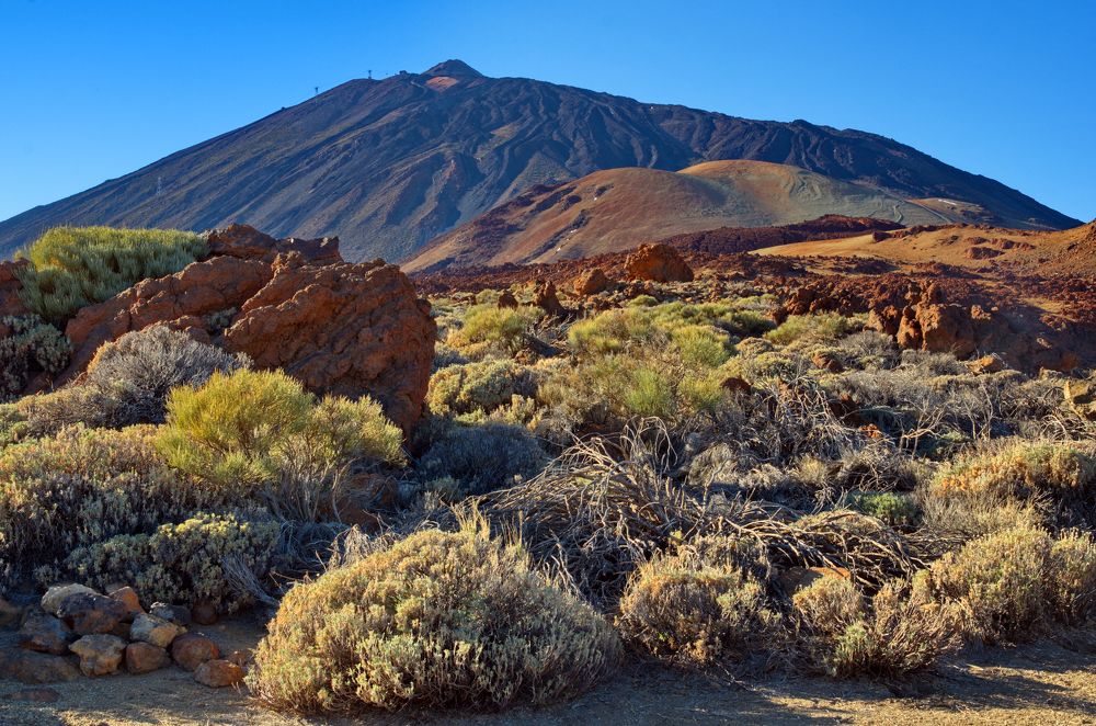 Photograph by Анна Острянко