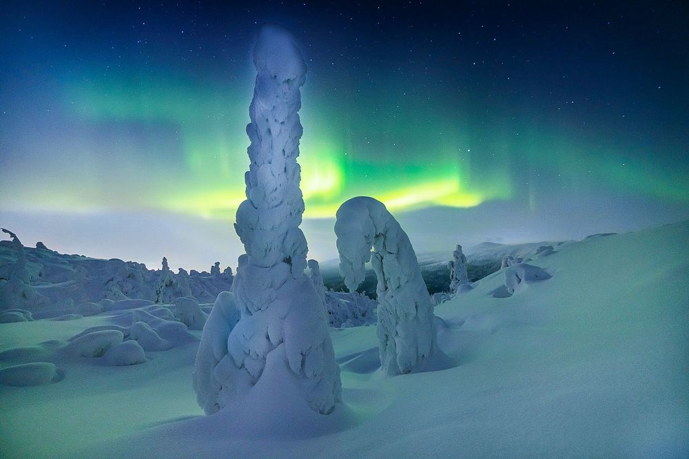 Photograph by Наталья Ермохина