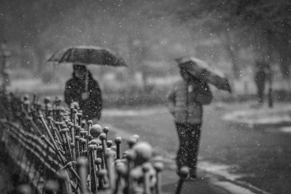 Photograph by George Manis