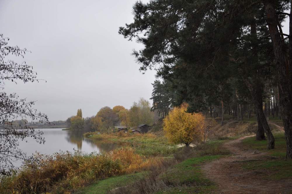 Photograph by Галина Лысых