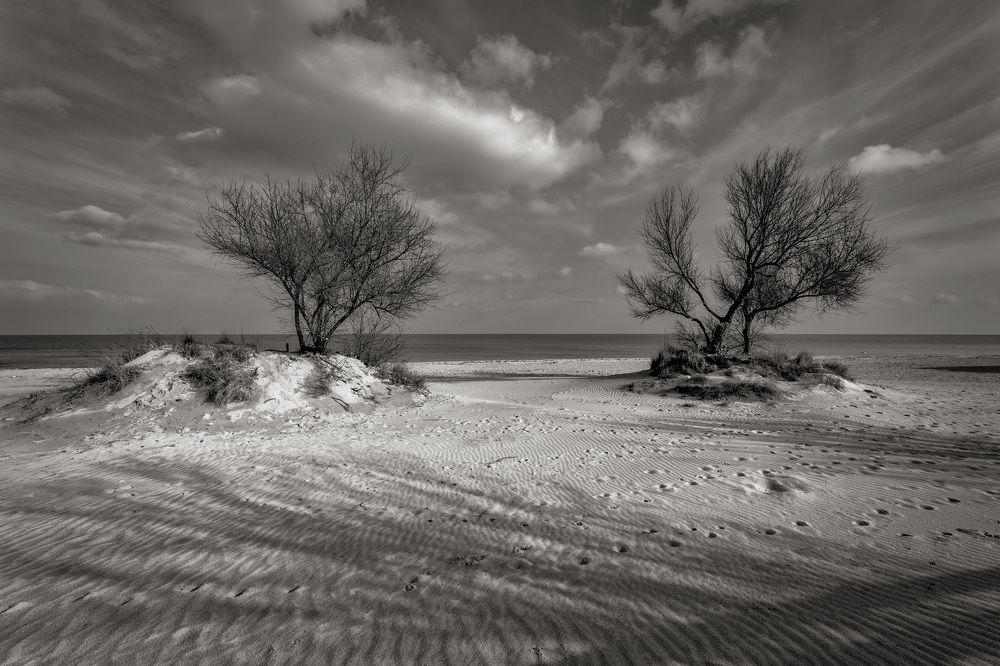 Photograph by Владимир Гамаюнов