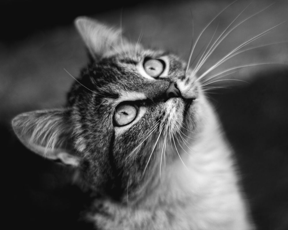 Photograph by Антон Синица