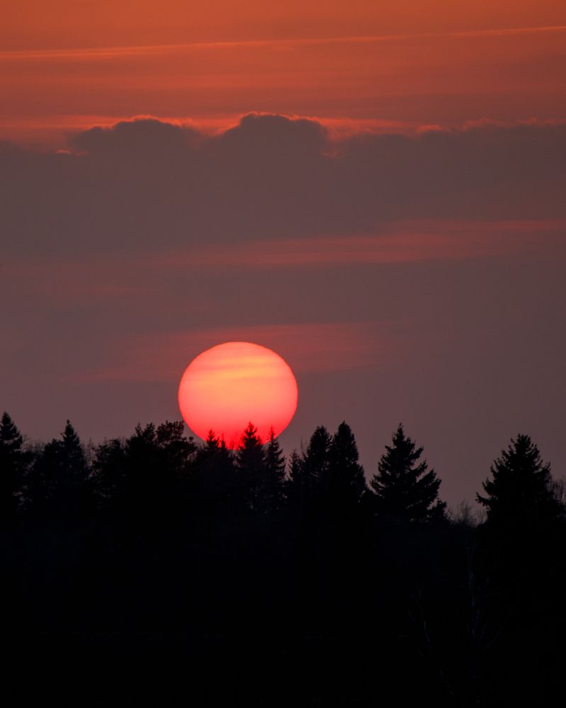 Photograph by Антон Синица