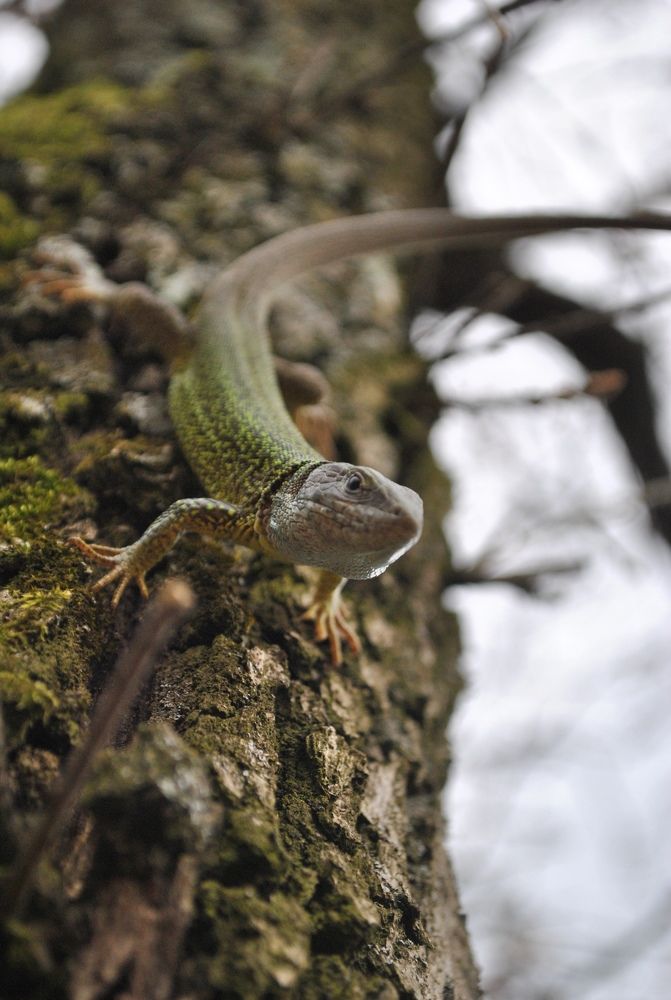 Photograph by Ciornei Simona Maria