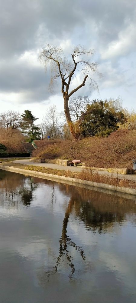 Photograph by Chinara