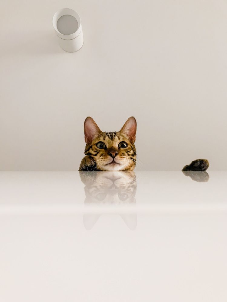 Photograph by Юлия Егорова